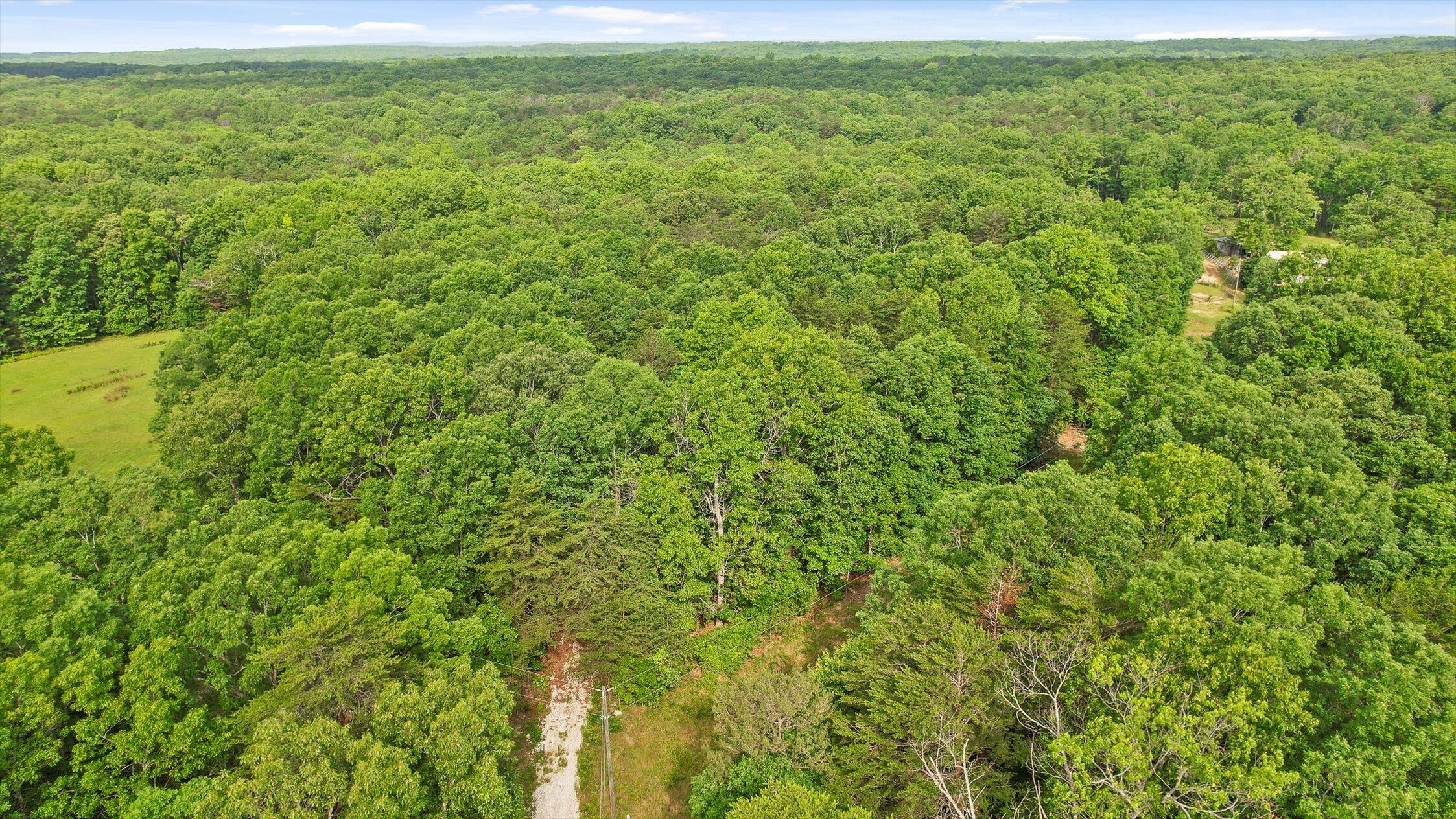 Menlo, Georgia 30731, United States, ,Land,Active,148614