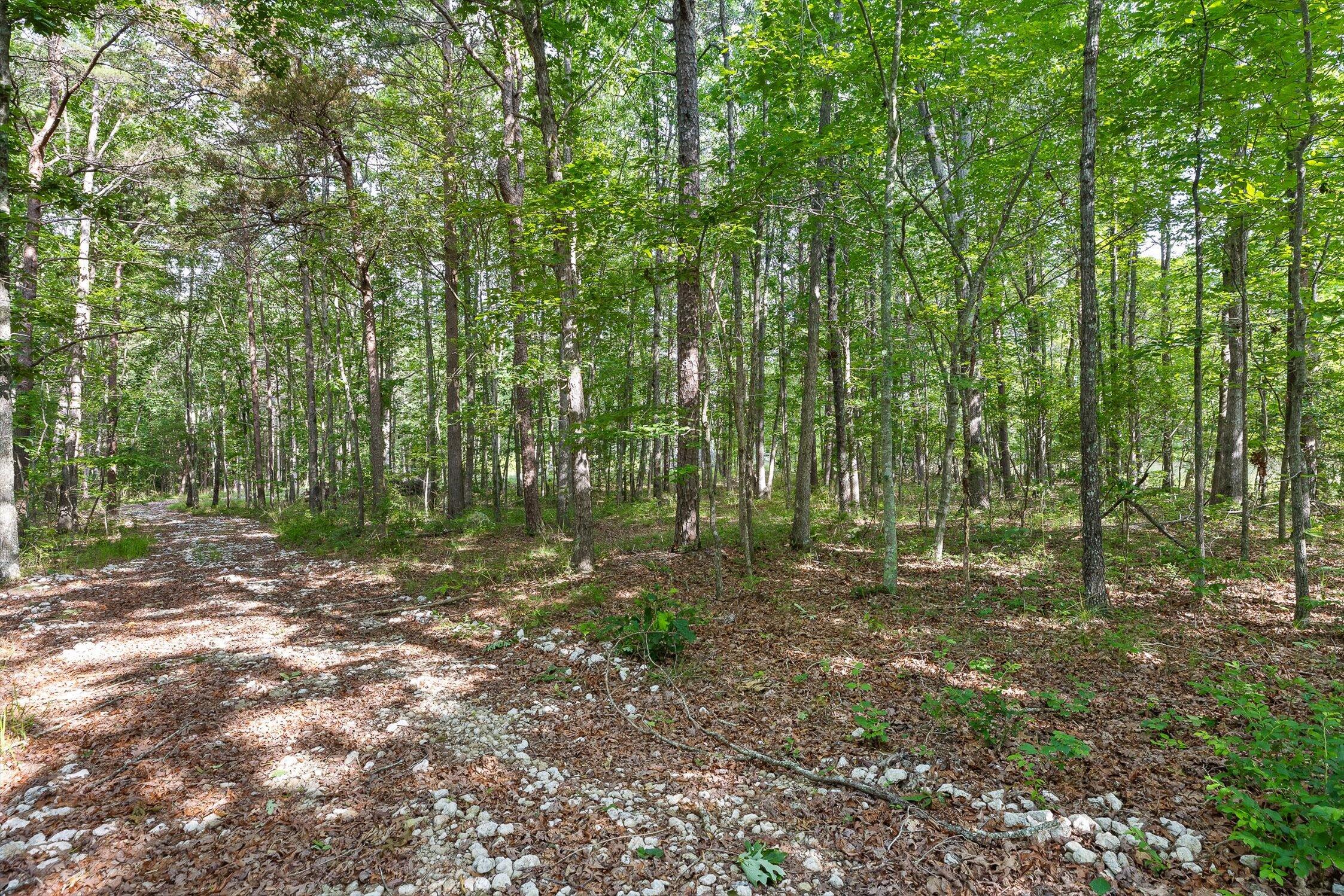 Menlo, Georgia 30731, United States, ,Land,Active,148614