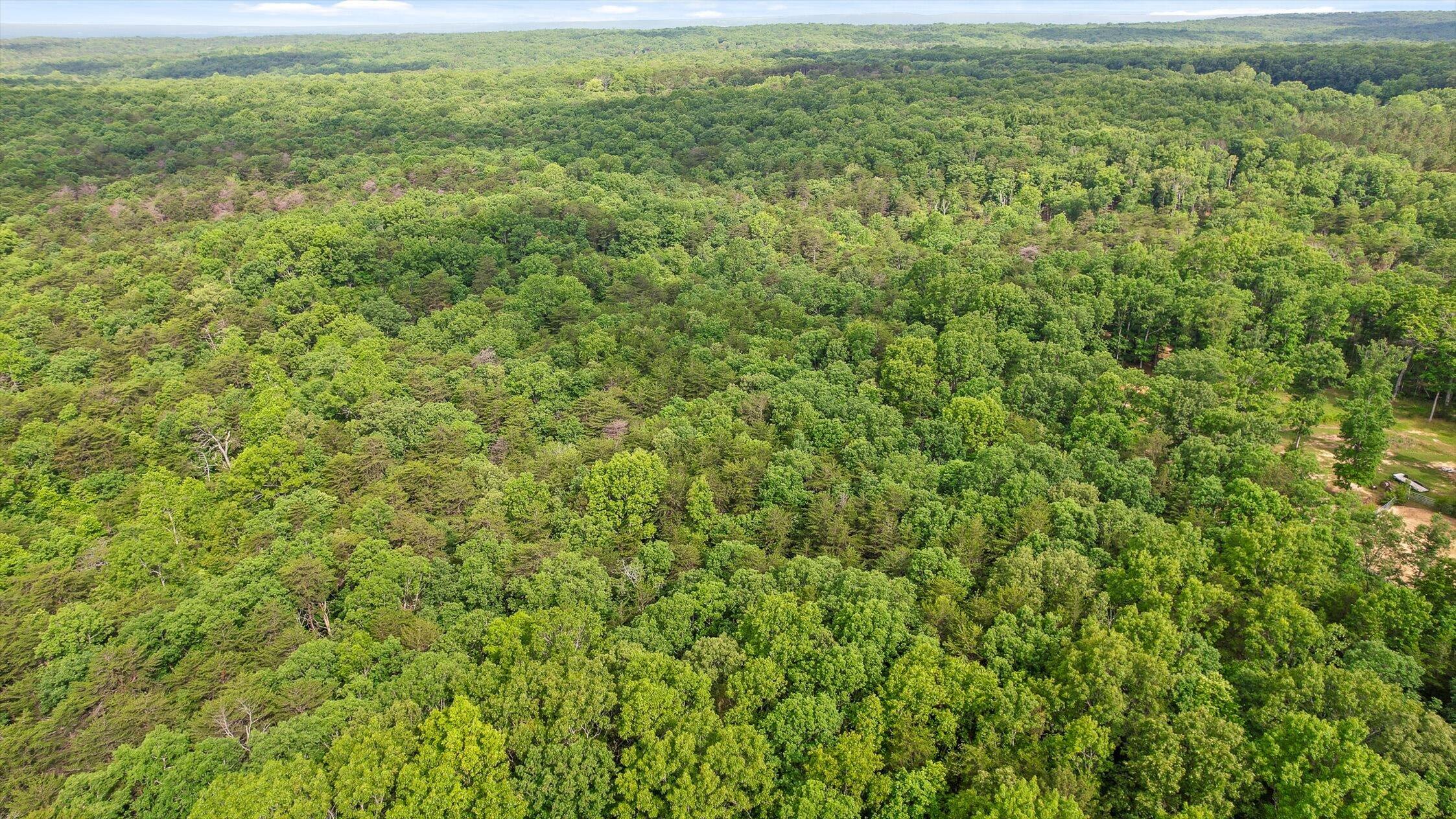 Menlo, Georgia 30731, United States, ,Land,Active,148614