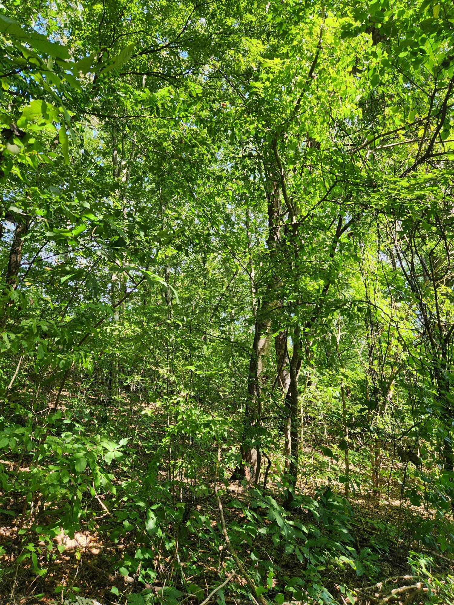 0 Old State Highway 28 28