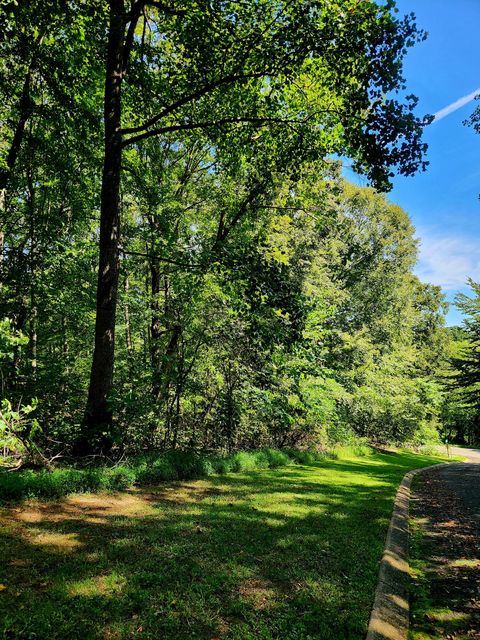 Vacant Land For Sale - Old State Highway 28<br/> Dunlap, TN 37327