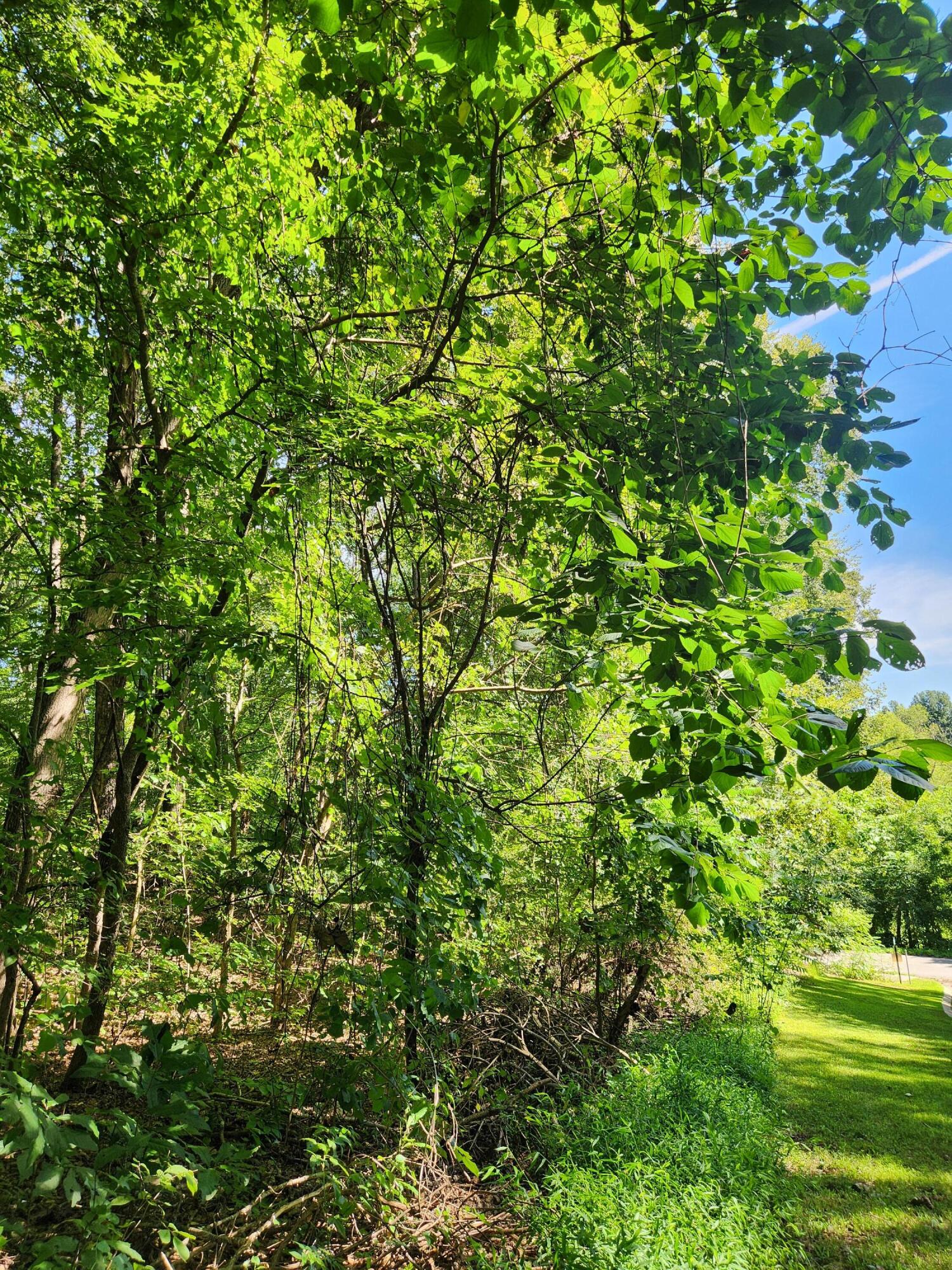 0 Old State Highway 28 28