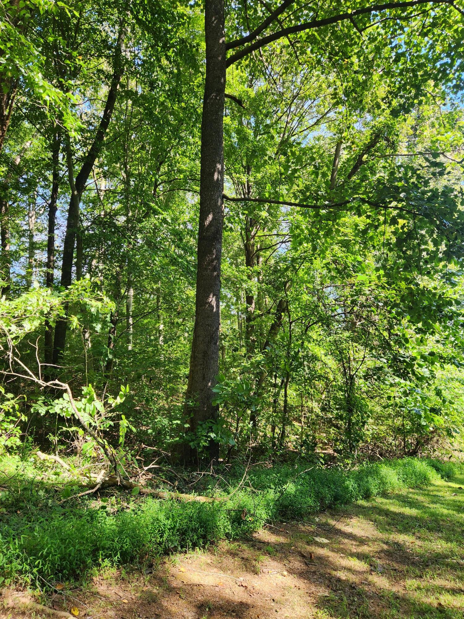 0 Old State Highway 28 28