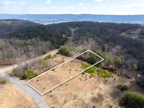 Vacant Land For Sale - Gray Rock View<br/> Pikeville, TN 37367