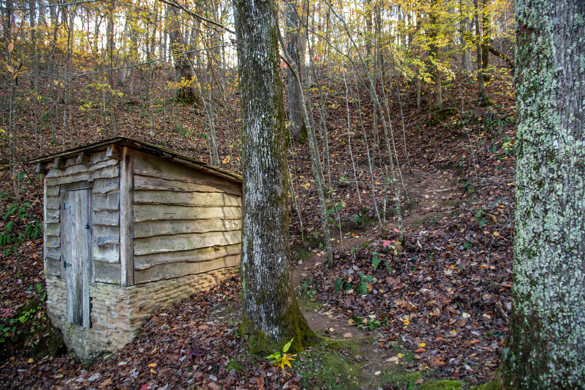 Cherokee Knoll, Chickamauga, Georgia image 50