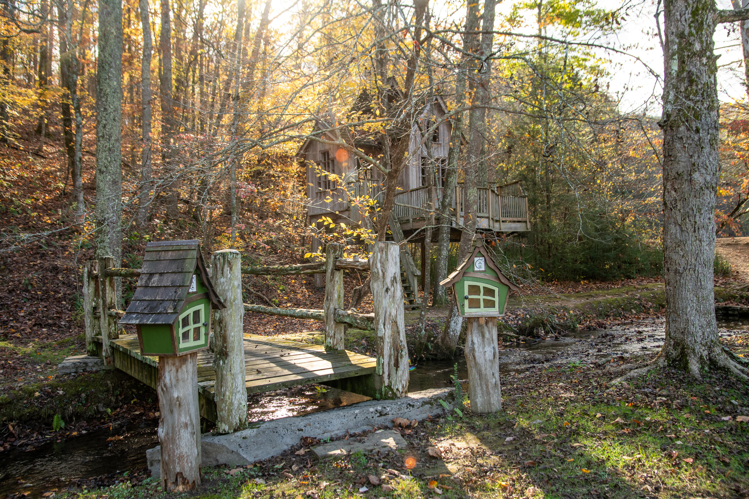 Cherokee Knoll, Chickamauga, Georgia image 48