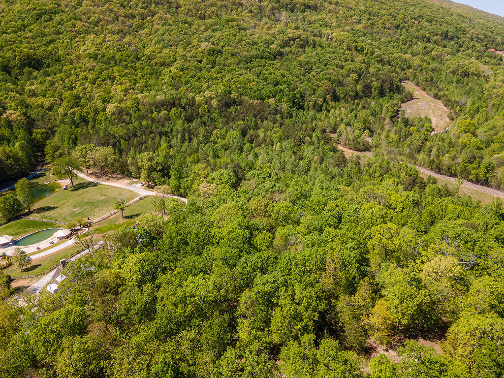 Cherokee Knoll, Chickamauga, Georgia image 15