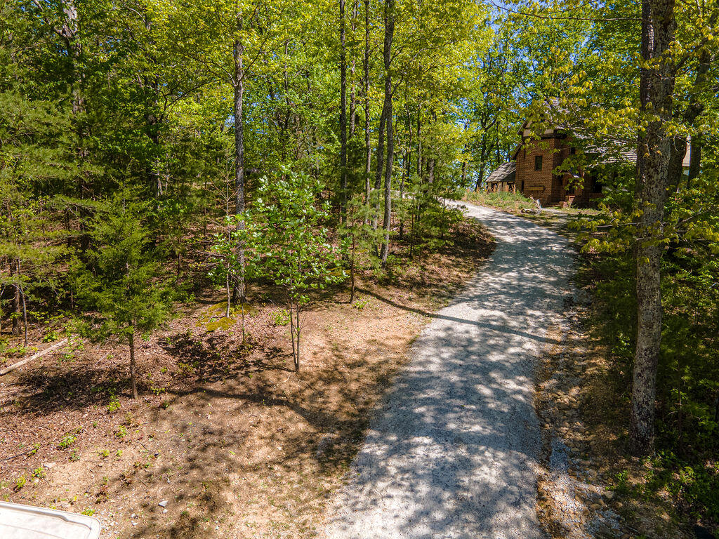 Cherokee Knoll, Chickamauga, Georgia image 3