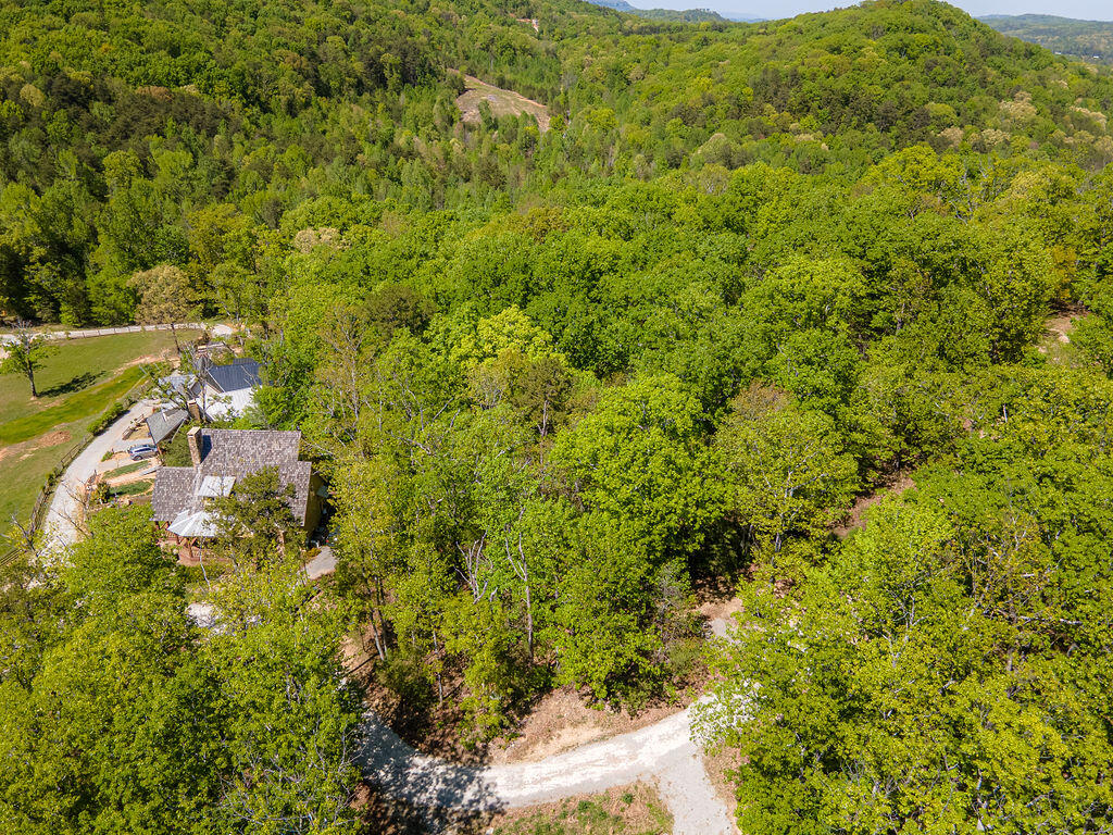 Cherokee Knoll, Chickamauga, Georgia image 7
