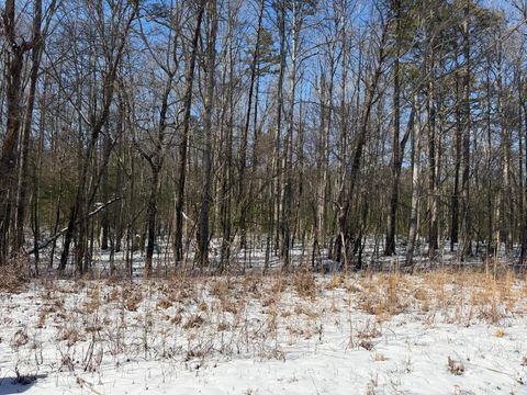 Vacant Land For Sale - Ironsburg Road<br/> Tellico Plains, TN 37385