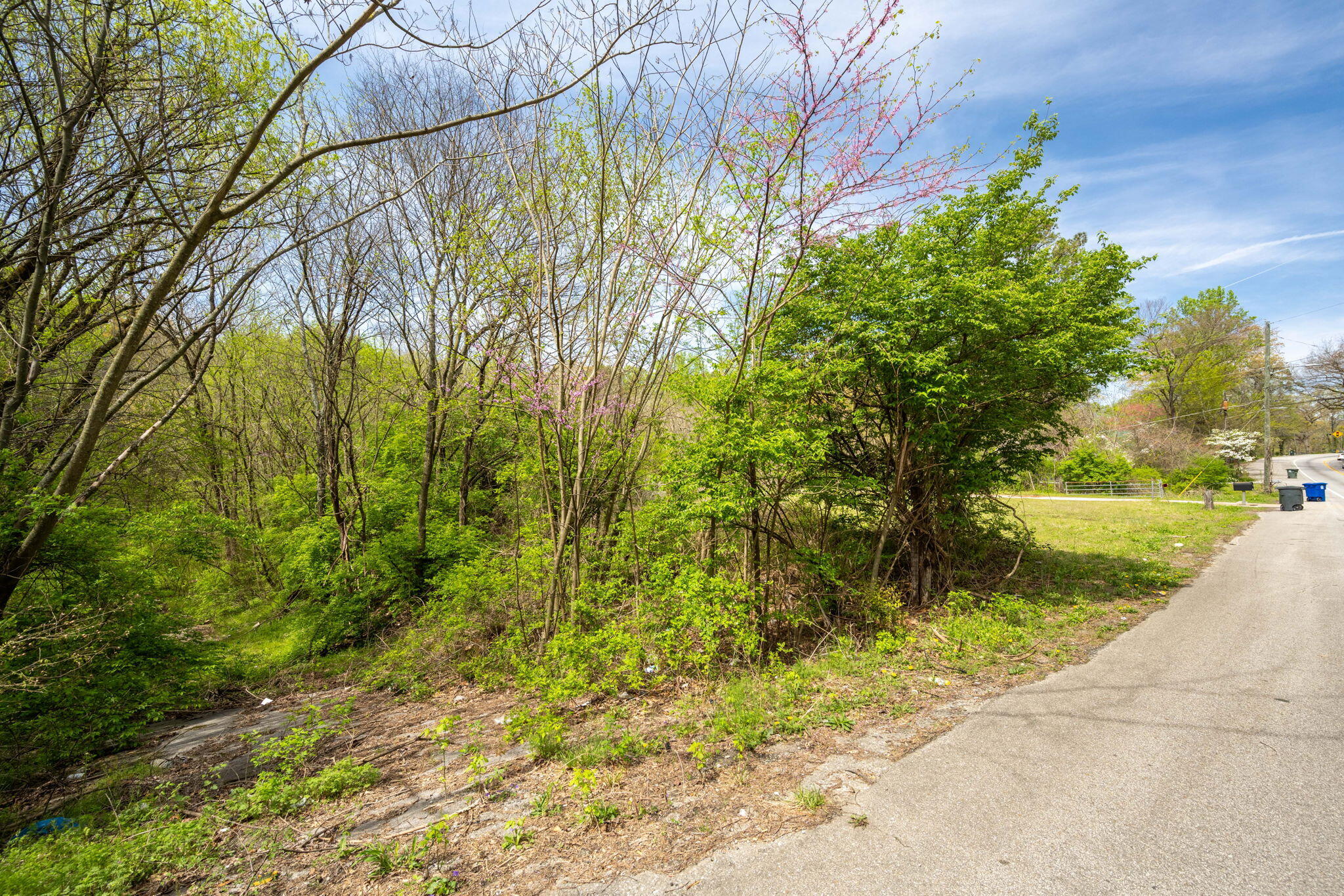 3877 Bonny Oaks Drive, Chattanooga, Tennessee image 30