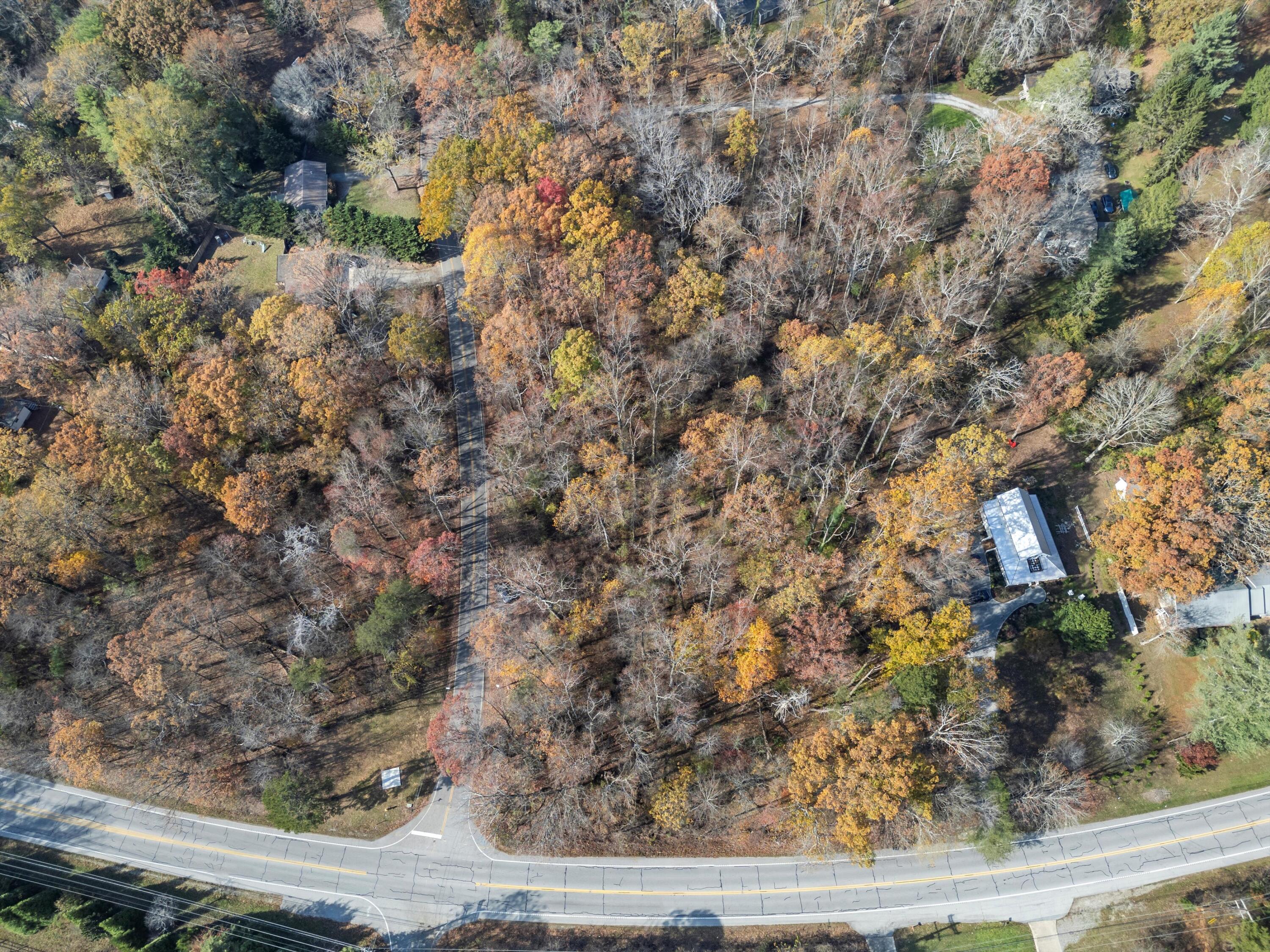 Miles Road, Signal Mountain, Tennessee image 5