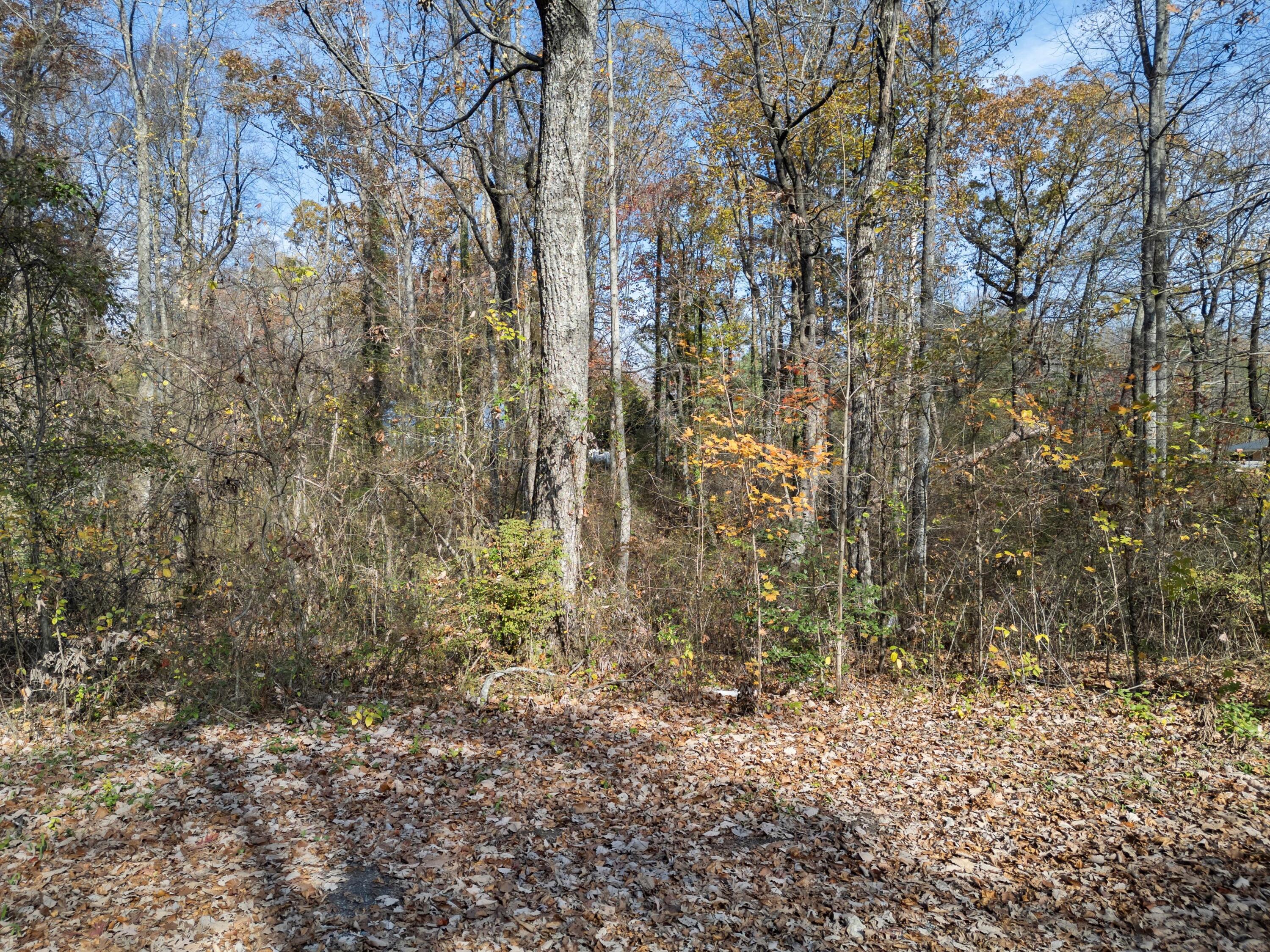 Miles Road, Signal Mountain, Tennessee image 2