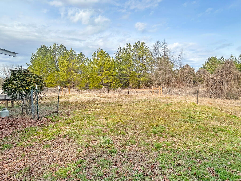 109 Center Drive, Chickamauga, Georgia image 18