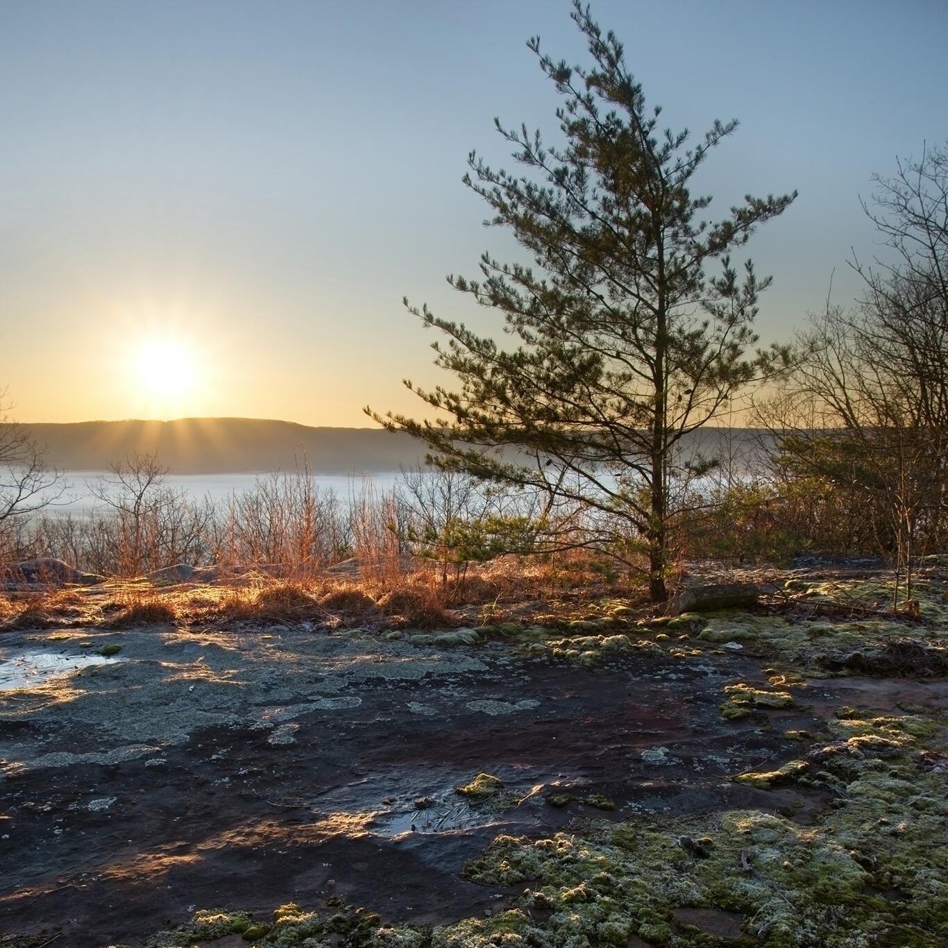 Gray Rock View #LOT 46 AB, Pikeville, Tennessee image 9