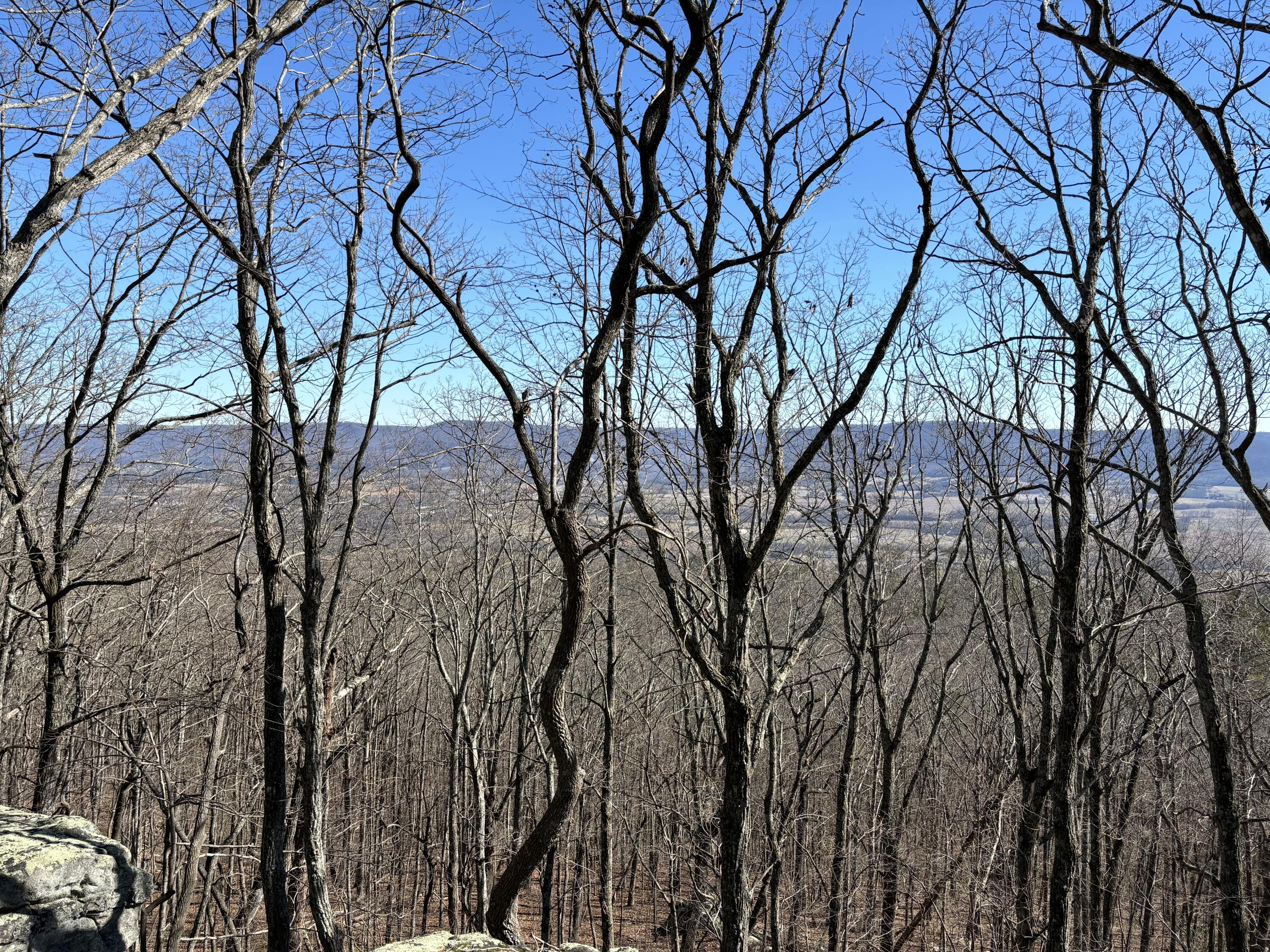 Gray Rock View #LOT 46 AB, Pikeville, Tennessee image 1