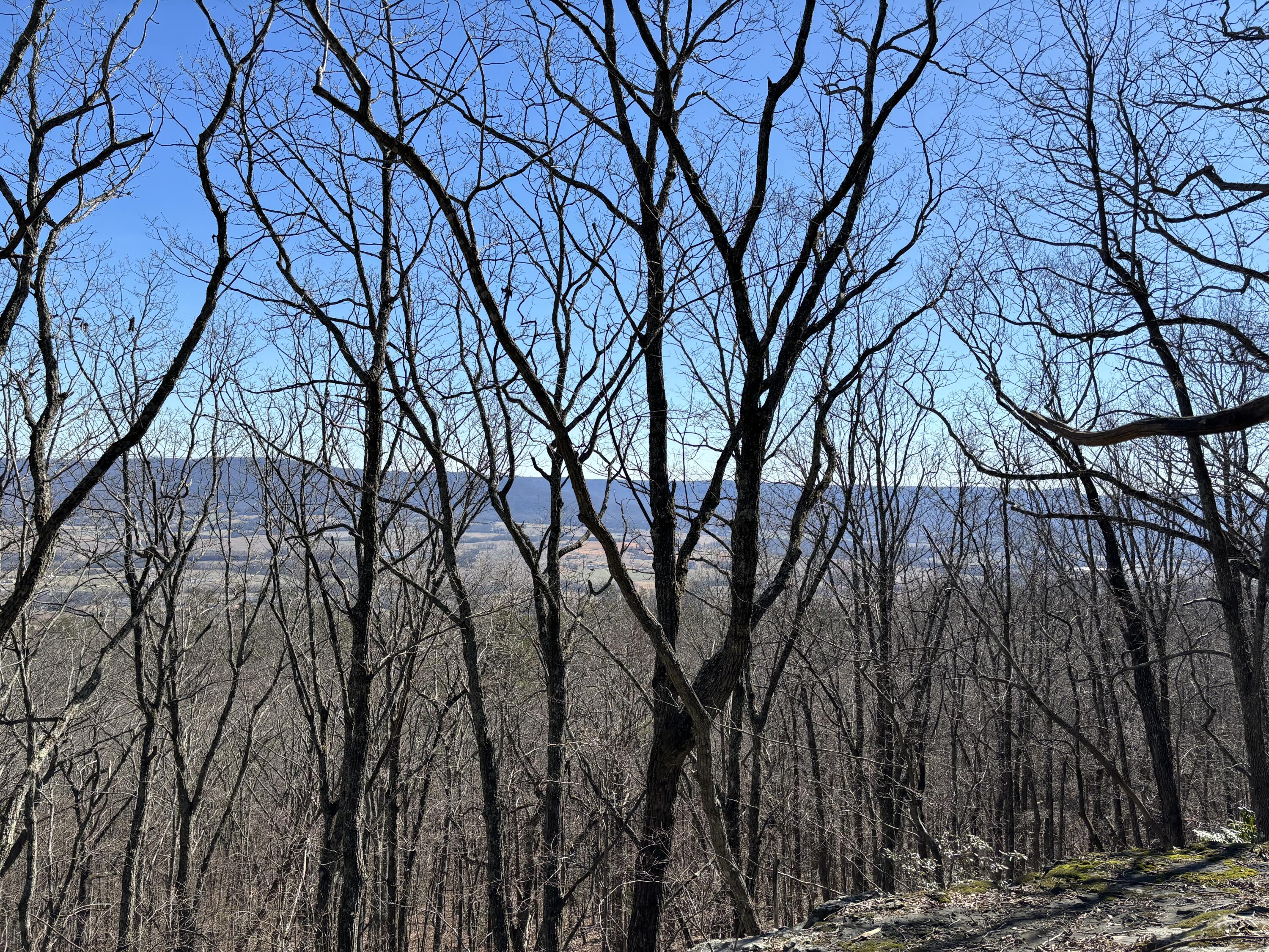 Gray Rock View #LOT 46 AB, Pikeville, Tennessee image 2