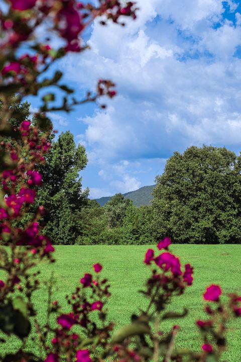 Tiny photo for 142 Bowater Road, Delano, TN 37325 (MLS # 1530567)