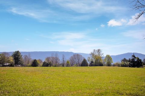 Tiny photo for 142 Bowater Road, Delano, TN 37325 (MLS # 1530567)