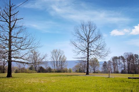 Tiny photo for 142 Bowater Road, Delano, TN 37325 (MLS # 1530567)