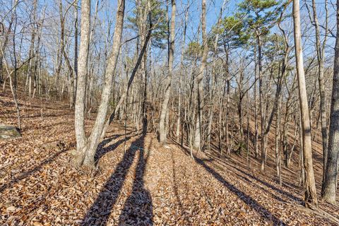 Tiny photo for 280 Pine Ridge Drive, Signal Mountain, TN 37377 (MLS # 1526396)