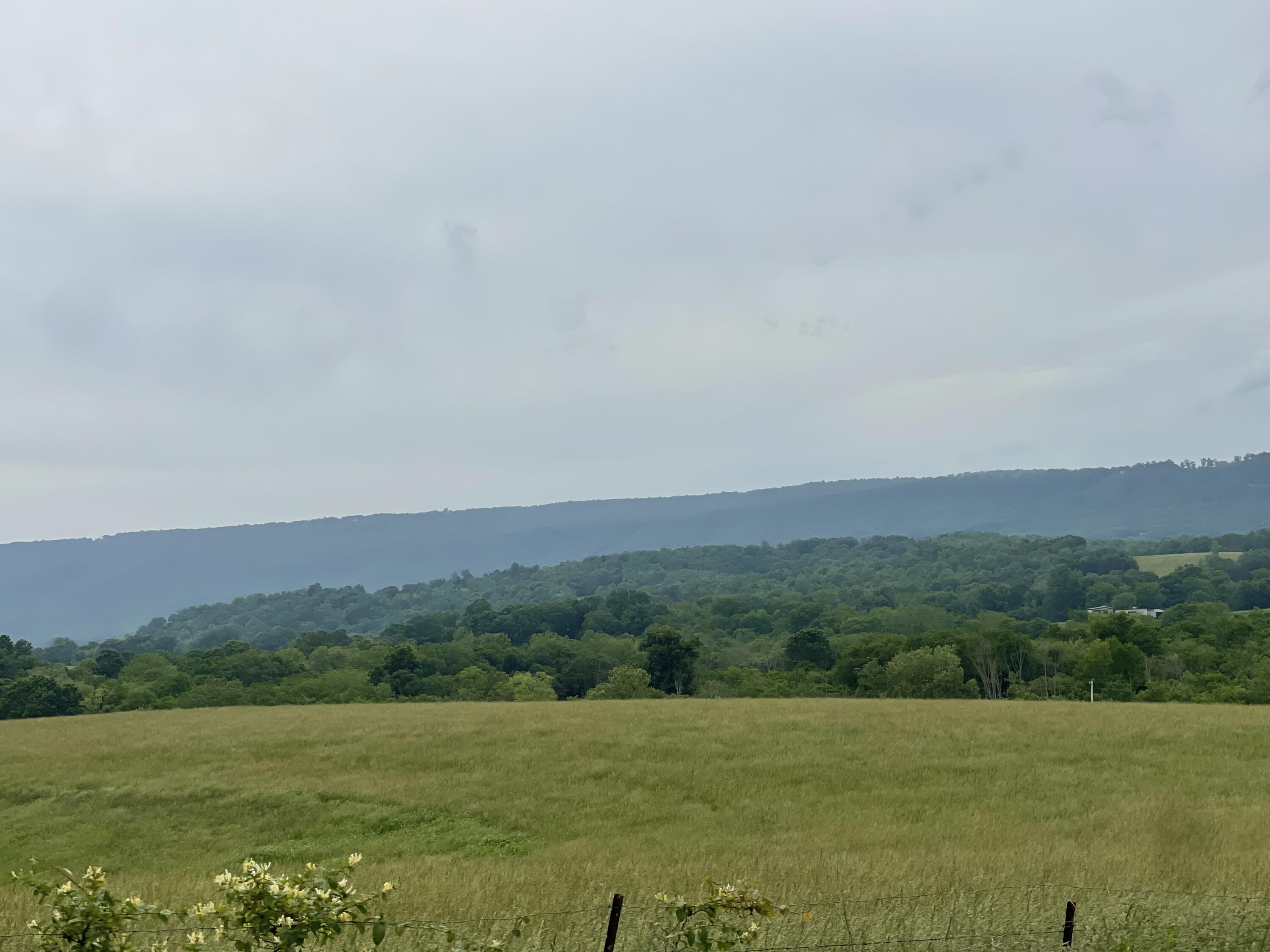 496 Aultville Trail, Pikeville, Tennessee image 4