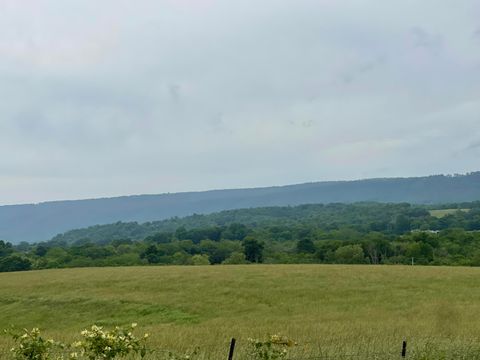 Tiny photo for 496 Aultville Trail, Pikeville, TN 37367 (MLS # 1513055)