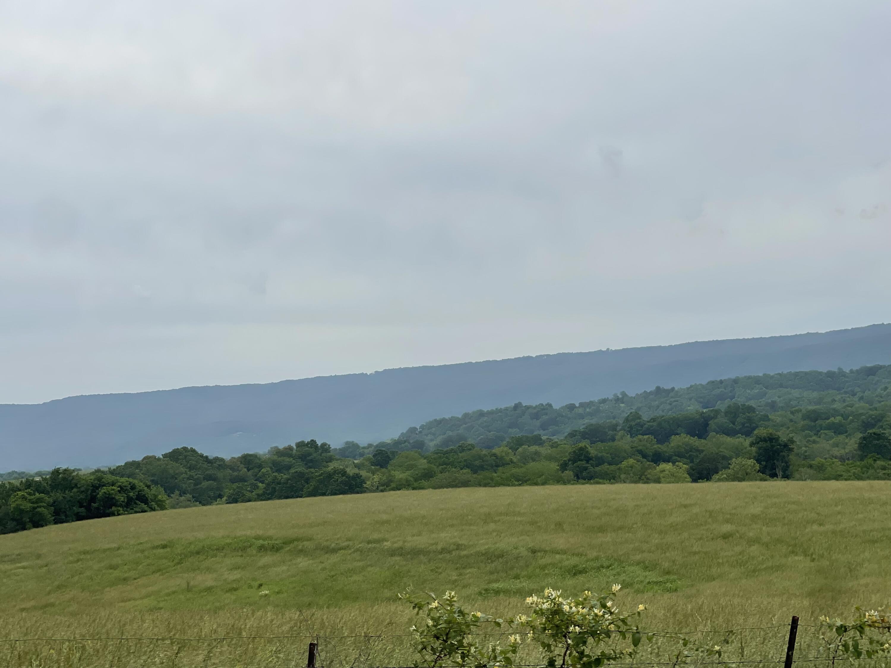 496 Aultville Trail, Pikeville, Tennessee image 5