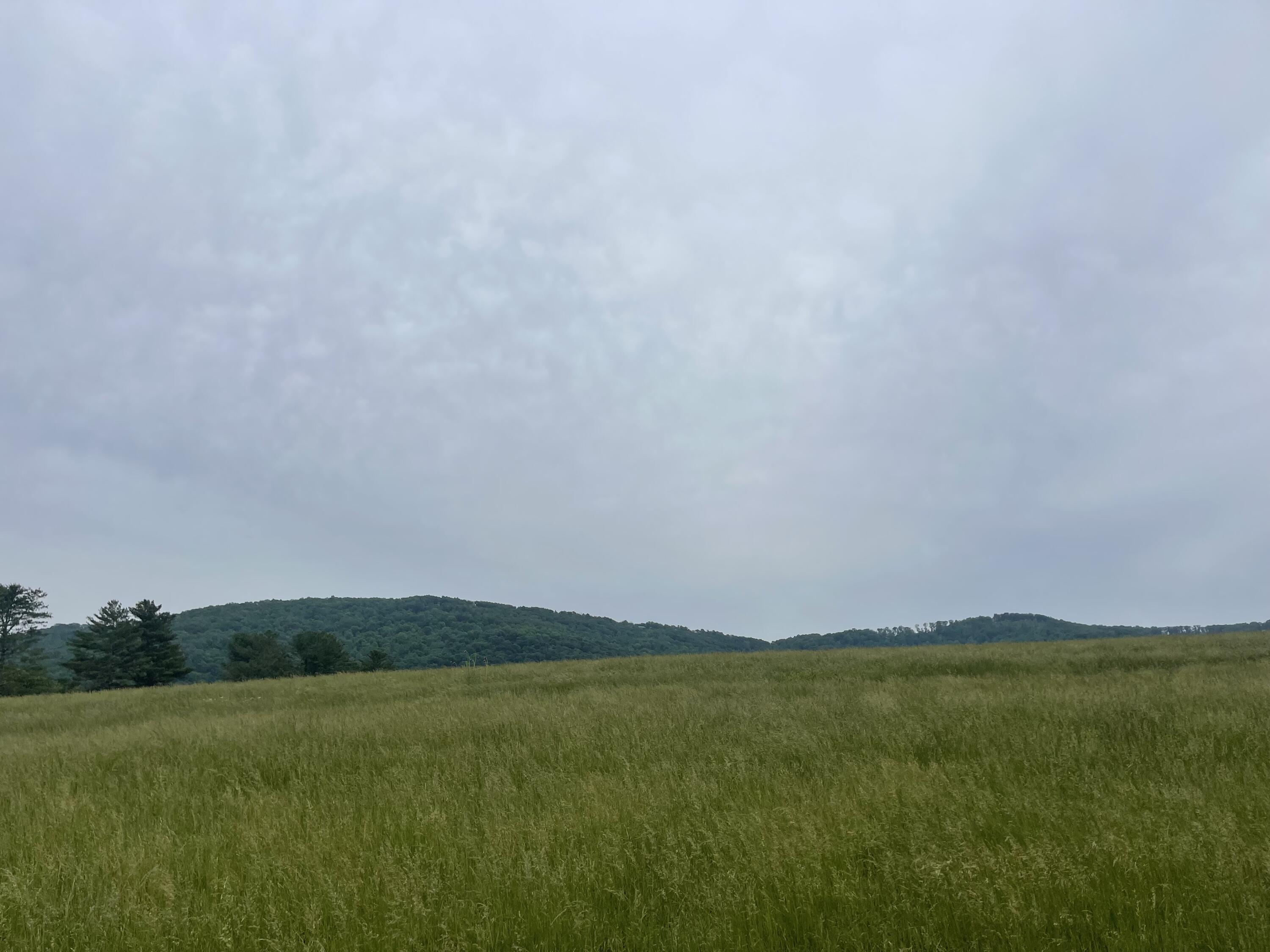496 Aultville Trail, Pikeville, Tennessee image 3
