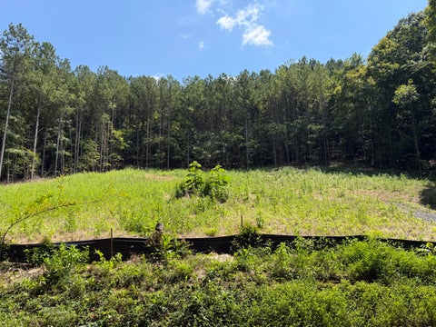 Photo of 0 SW Banther Road SW, McDonald, TN 37353 (MLS # 1541063)