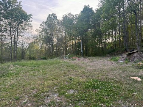 Vacant Land For Sale - 475 Hicks Hollow Road<br/> Guild, TN 37340
