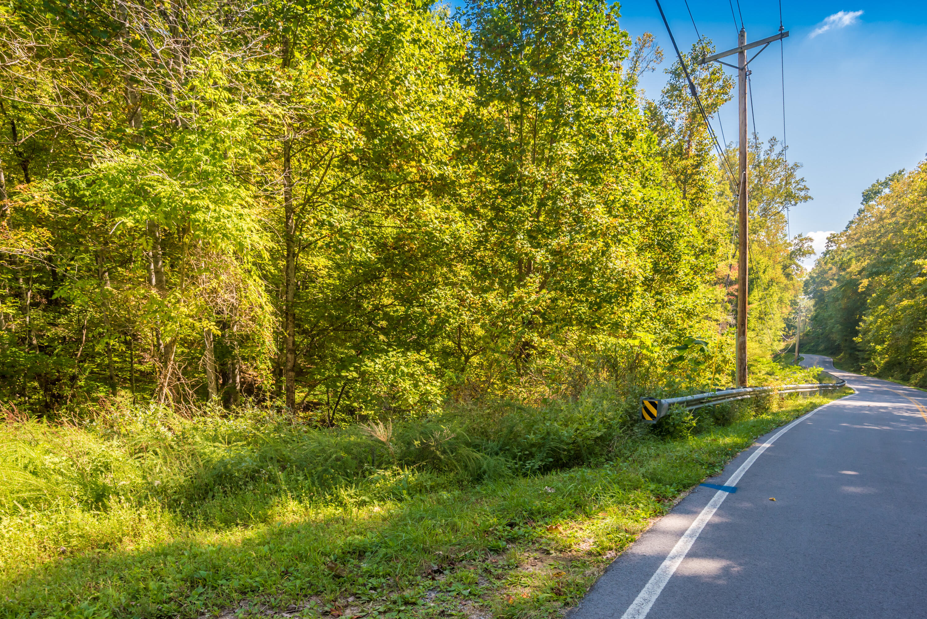 Winton Chapel Road, Rockwood, Tennessee image 6