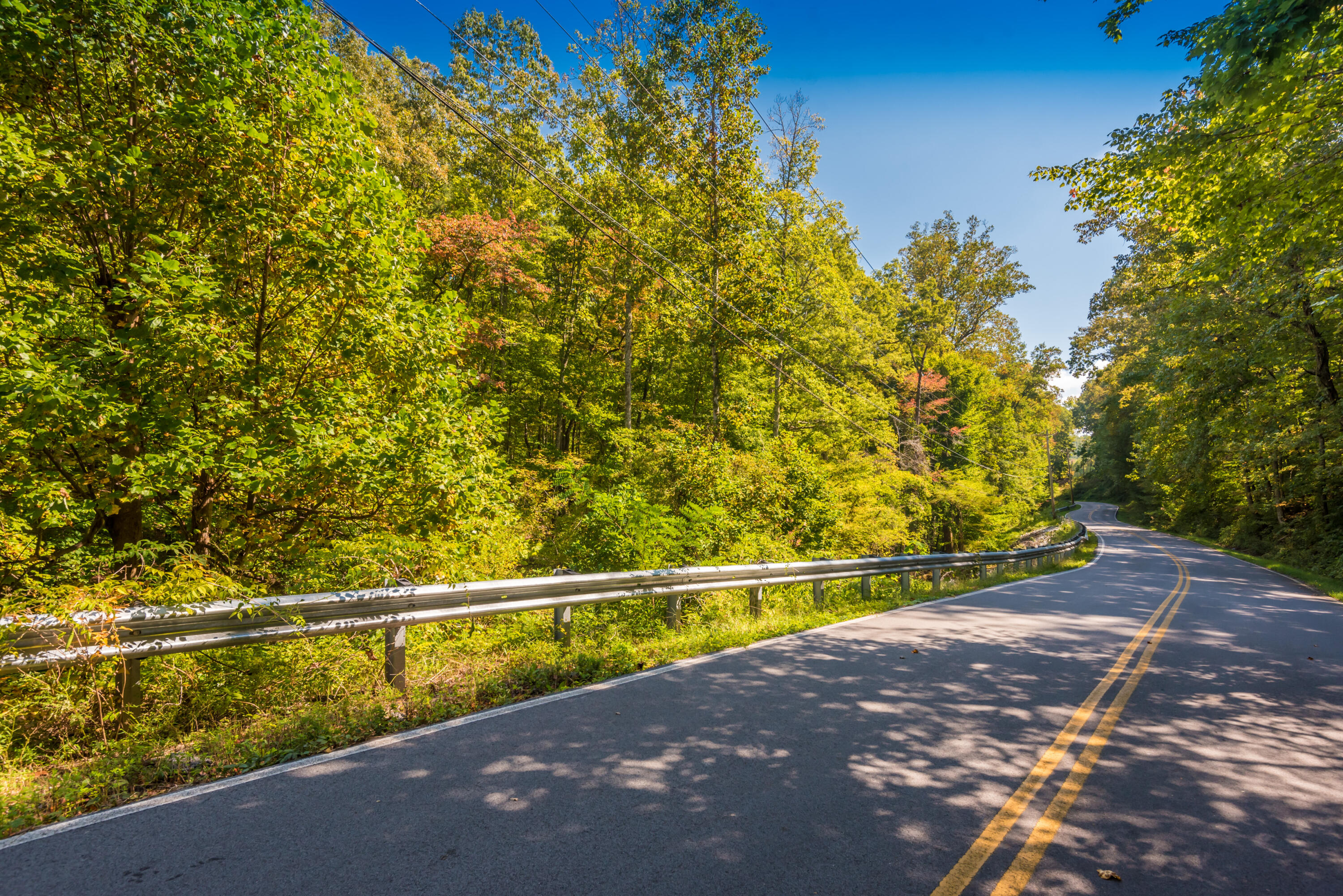 Winton Chapel Road, Rockwood, Tennessee image 7