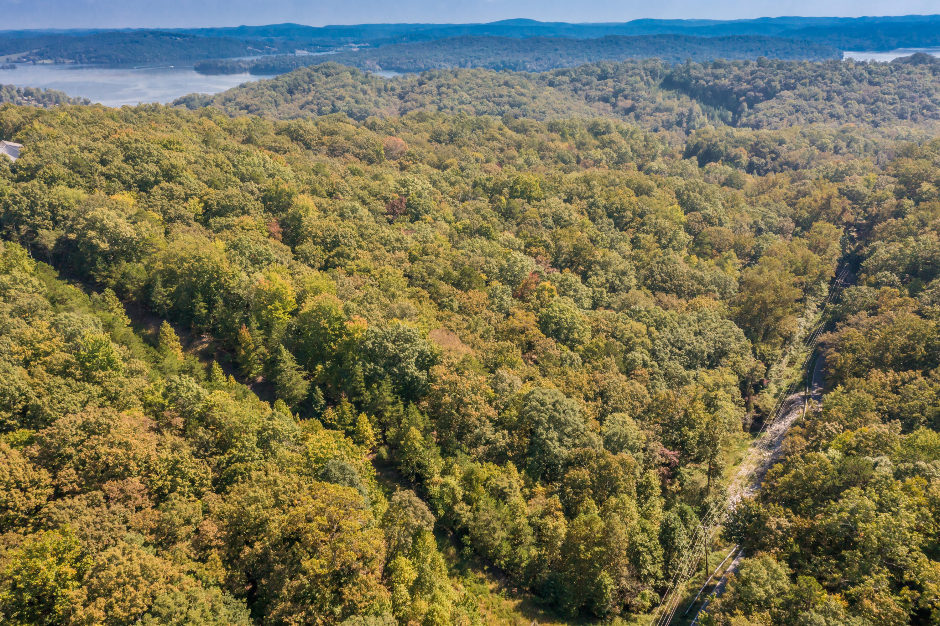 Winton Chapel Road, Rockwood, Tennessee image 9