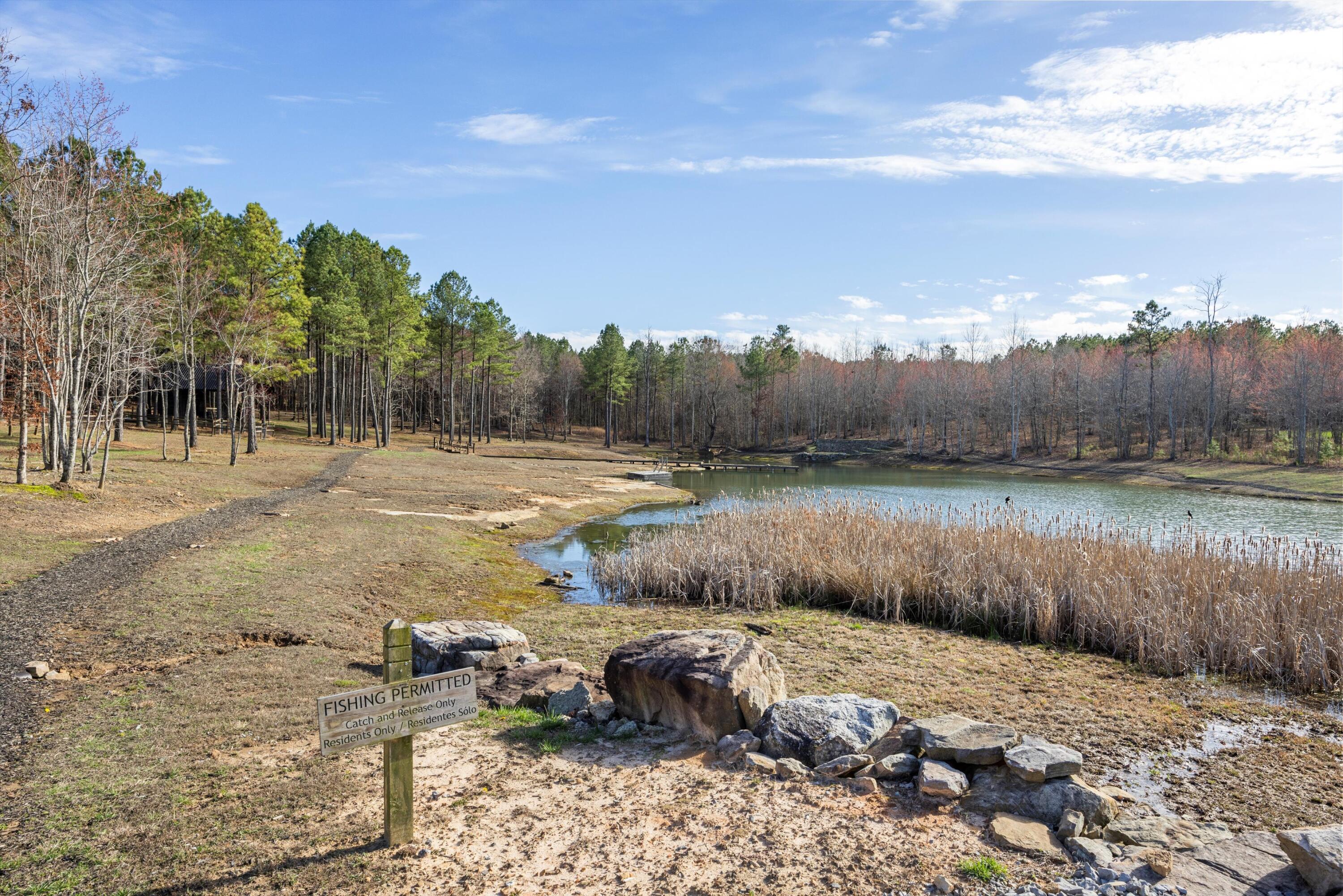 High Point Lane #89, Jasper, Tennessee image 13