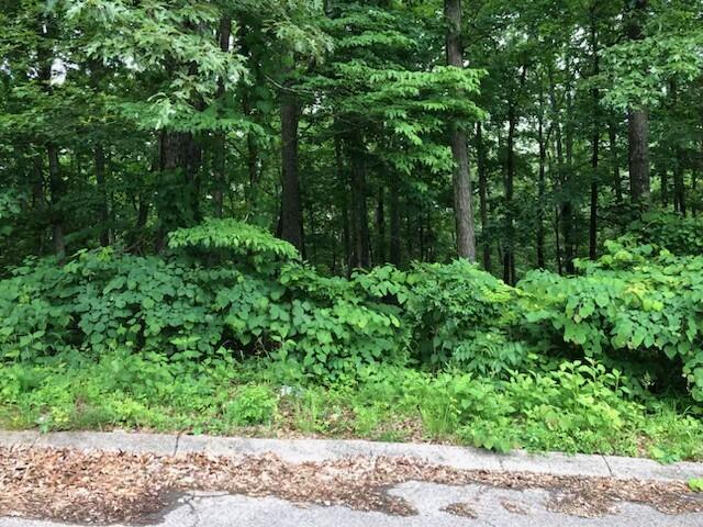 280 Timber Ridge Drive, Kimball, Tennessee image 2