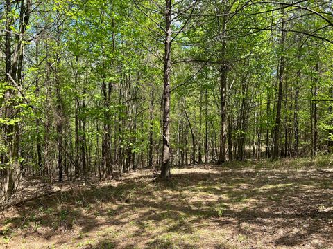 Tiny photo for 290 Bear Trace Drive, Jasper, TN 37347 (MLS # 1527031)