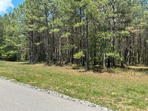 Tiny photo for 290 Bear Trace Drive, Jasper, TN 37347 (MLS # 1527031)