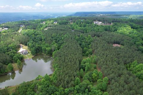 Tiny photo for 290 Bear Trace Drive, Jasper, TN 37347 (MLS # 1527031)