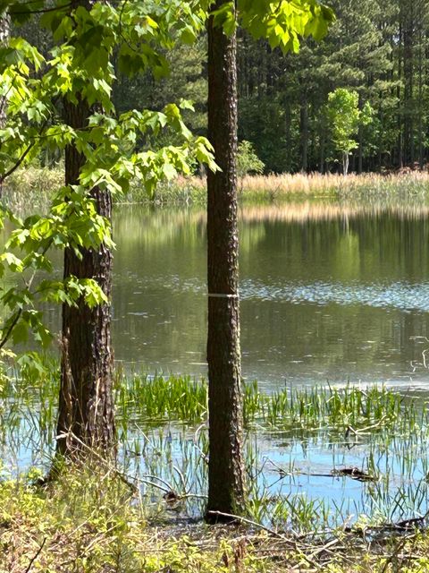 Tiny photo for 290 Bear Trace Drive, Jasper, TN 37347 (MLS # 1527031)