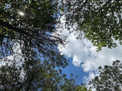 Tiny photo for 290 Bear Trace Drive, Jasper, TN 37347 (MLS # 1527031)