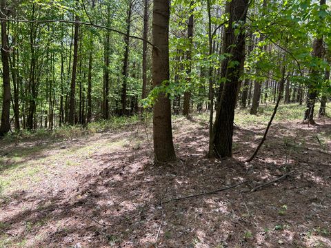 Tiny photo for 290 Bear Trace Drive, Jasper, TN 37347 (MLS # 1527031)