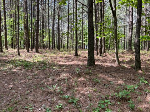 Tiny photo for 290 Bear Trace Drive, Jasper, TN 37347 (MLS # 1527031)