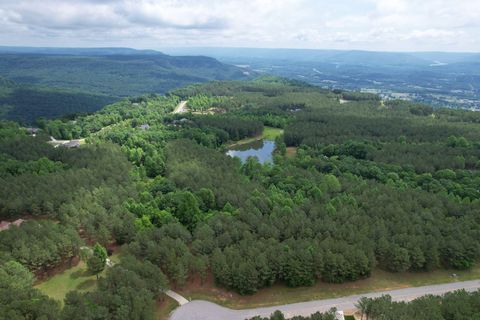 Tiny photo for 290 Bear Trace Drive, Jasper, TN 37347 (MLS # 1527031)