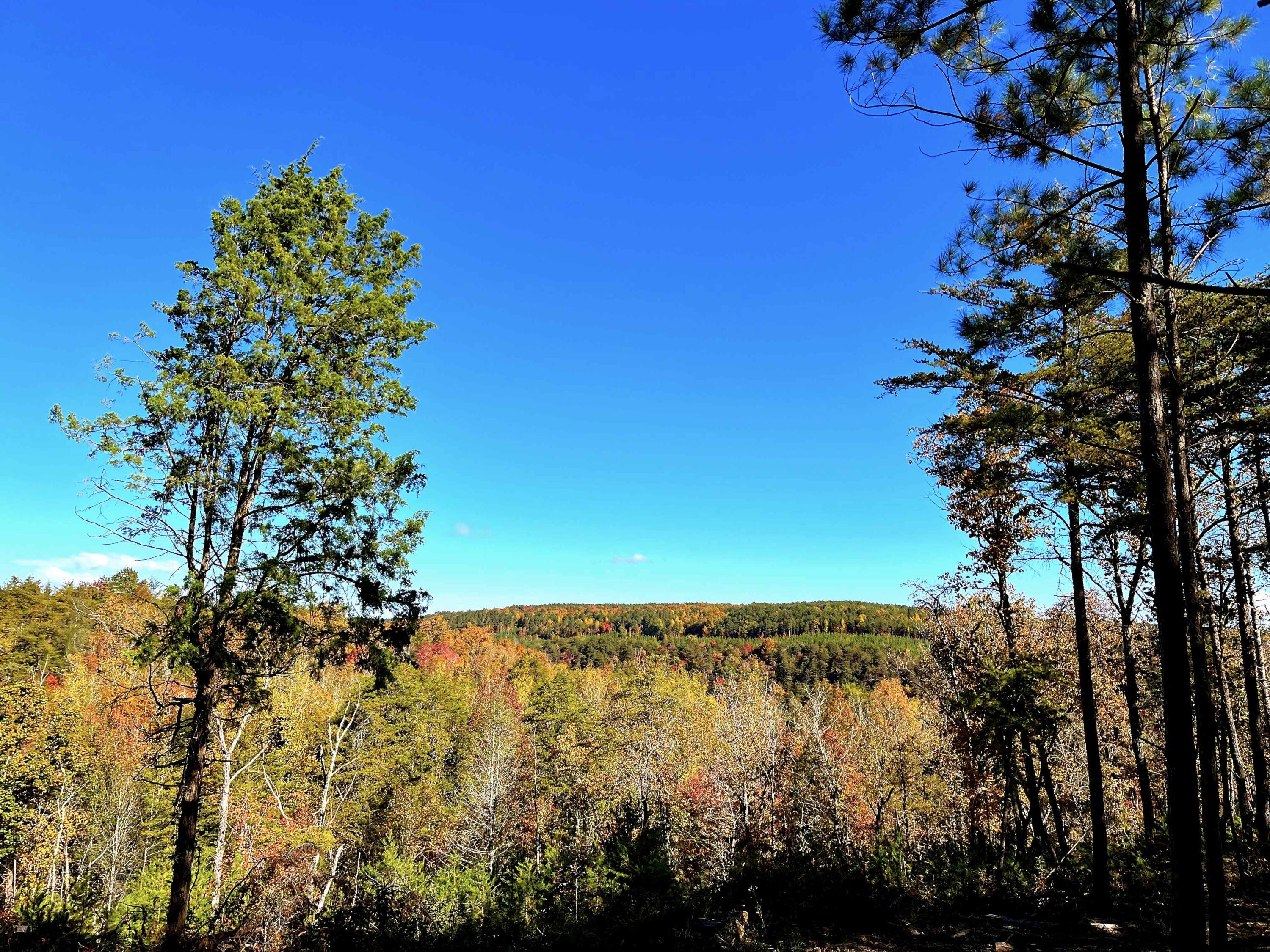 Worley Road #LOT 7, Soddy Daisy, Tennessee image 2