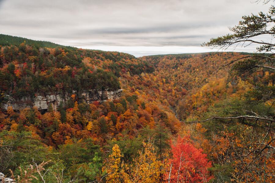 Worley Road #LOT 7, Soddy Daisy, Tennessee image 9