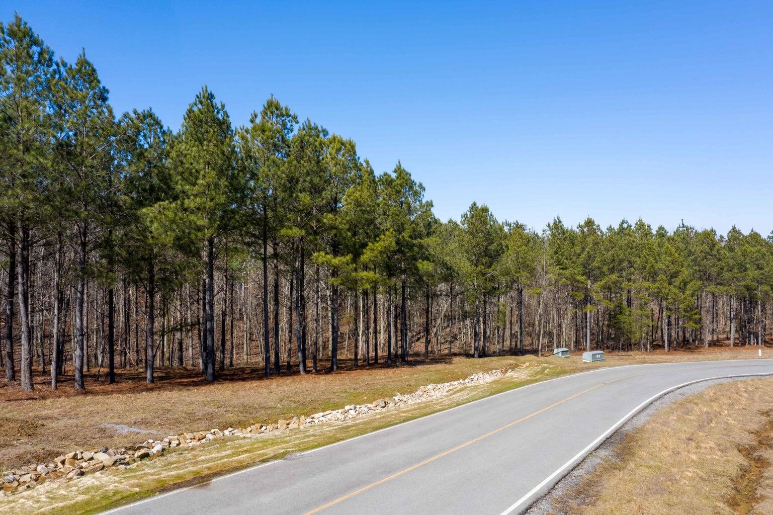 Compass Drive #RB114, Jasper, Tennessee image 16