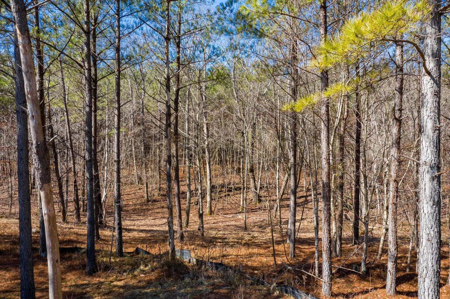 Compass Drive #RB114, Jasper, Tennessee image 13