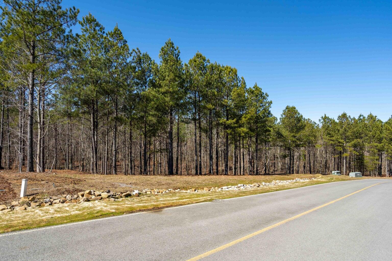 Compass Drive #RB114, Jasper, Tennessee image 3