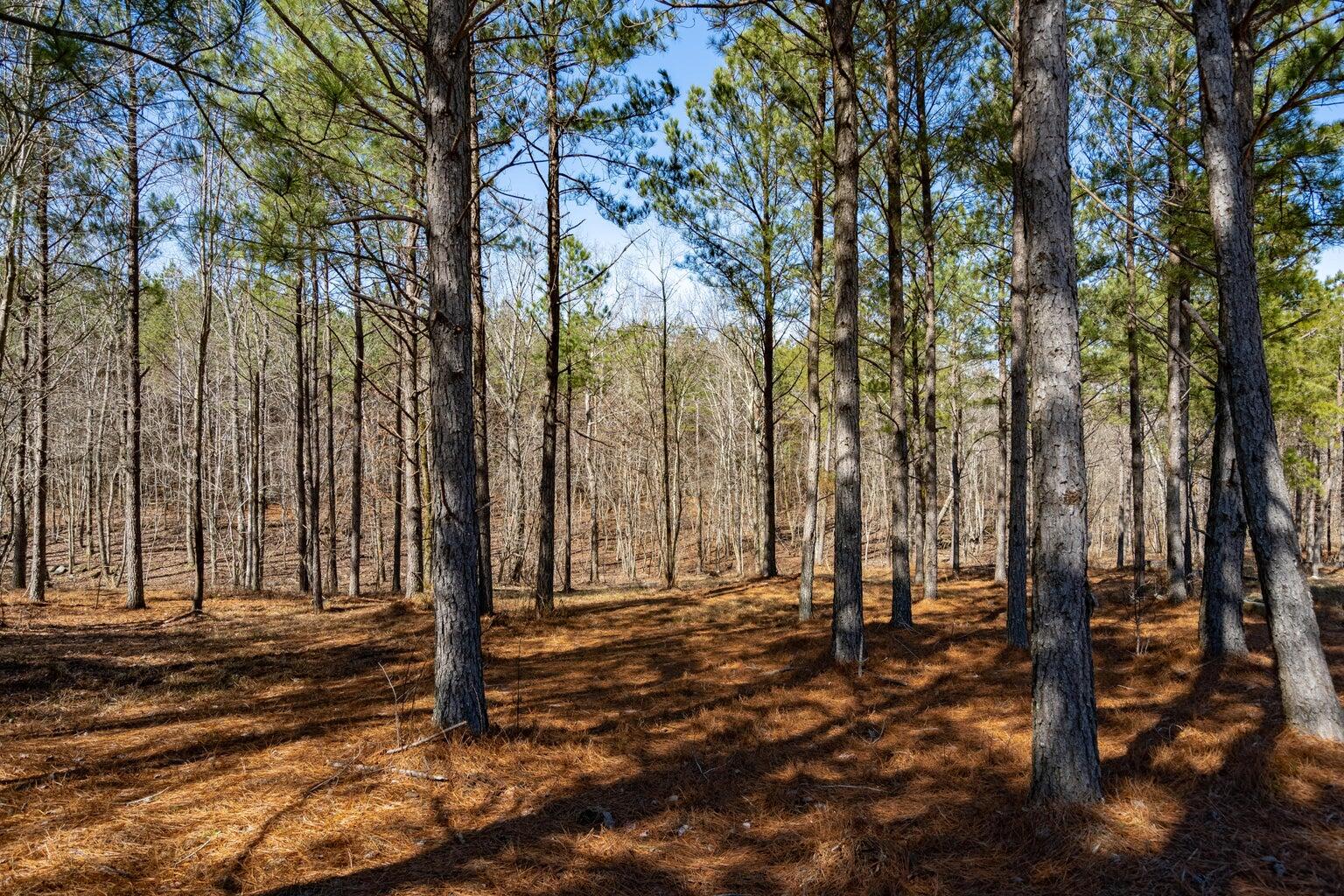 Compass Drive #RB114, Jasper, Tennessee image 9